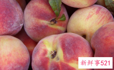 水果的营养物质