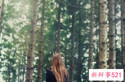 梦见森林里迷路是什么意思