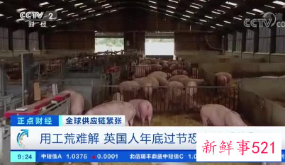 英国用工荒难解