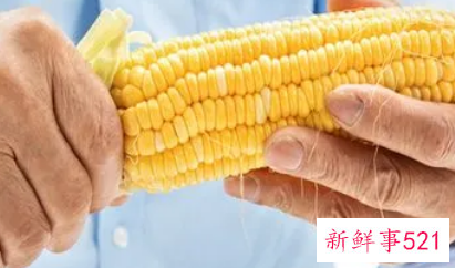 梦见别人偷玉米是什么意思