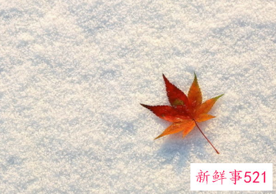 如何礼貌回复别人的感谢