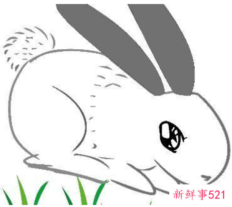 属兔的女性几月出生好