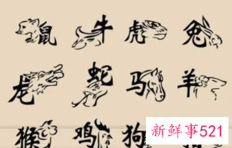 念念不忘是什么生肖