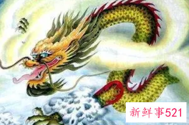 已婚女人梦到金色的龙