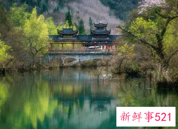 女人梦见家乡仙境般的美景