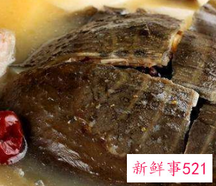 甲鱼的营养价值和功效