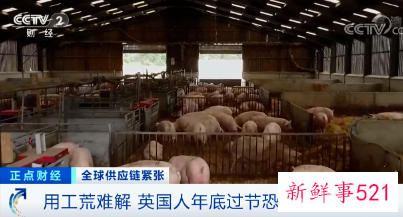 英国用工荒难解