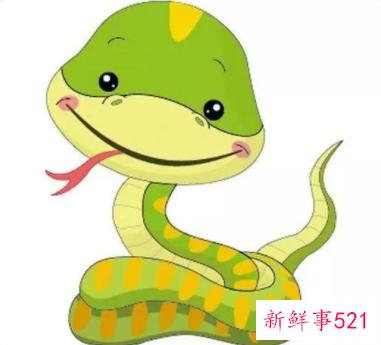 怎样让属蛇男主动联系你