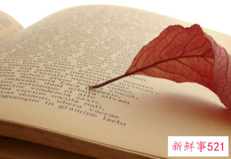 如何礼貌回复别人的感谢