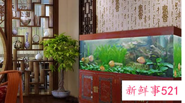 养鱼方法和技巧