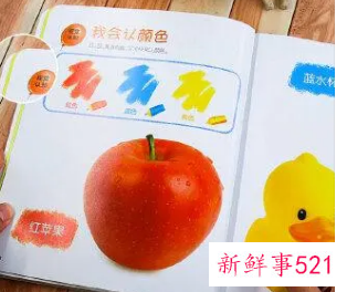 2岁半适合什么早教