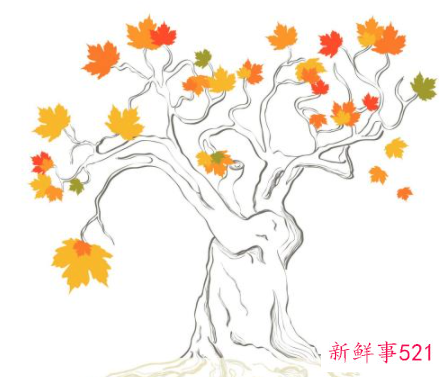 如何礼貌回复别人的感谢