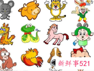 念念不忘是什么生肖