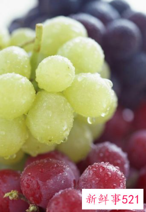 水果的营养物质