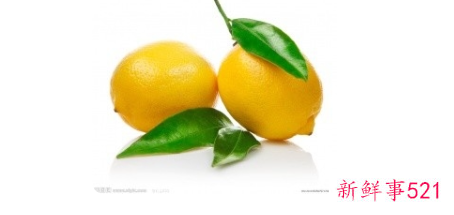 水果的营养物质