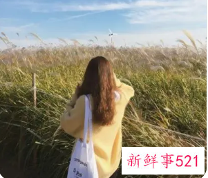 好听有内涵微信名字女