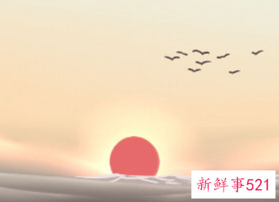 家居风水哪些东西不宜太多