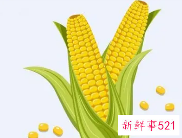 梦见别人偷玉米是什么意思