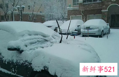 家长开铲车去学校清雪详细情况