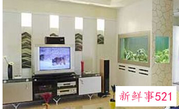 养鱼方法和技巧