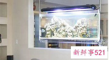 养鱼方法和技巧