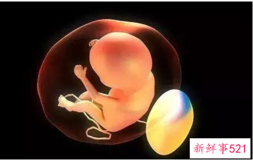 脑部发育情况如何检测