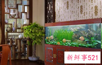 养鱼方法和技巧