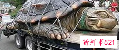 世界上最大的动物是什么