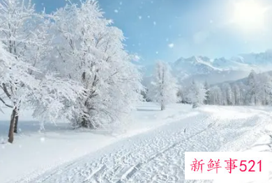 2022年三九天从什么时候开始