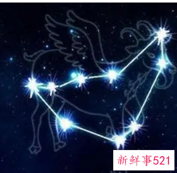 摩羯女喜欢暧昧吗