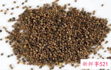 盐菟丝子的功效与作用