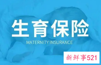 杭州灵活就业生育险怎么交