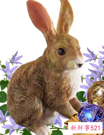 属兔人跟谁一起财运好