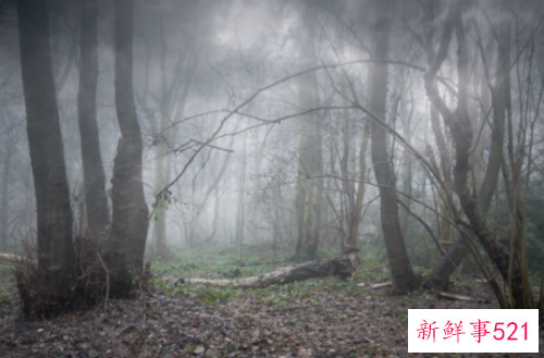 驱除鬼上身最有效的办法