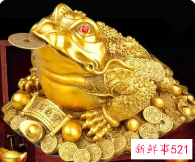 客厅金蟾的摆放图片