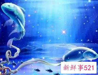 双鱼座和什么星座最配做男朋友