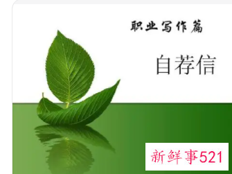 工作自荐信800字