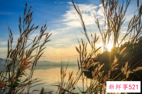 怎样才能提高说话水平