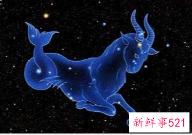 摩羯女喜欢你的表现超准