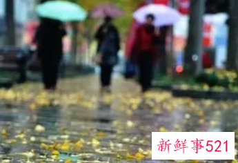 我国东部多地受较强冷空气影响将有较强降水