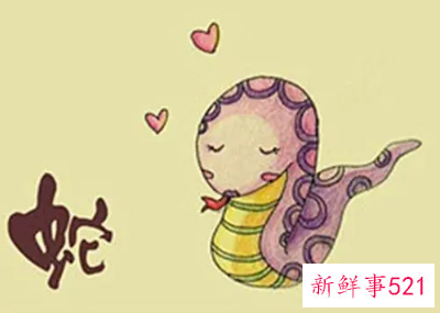 属蛇人结婚合不合适