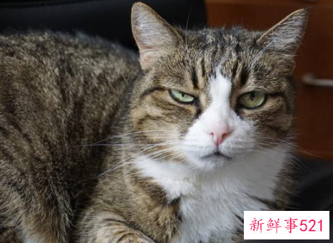 有什么方法可以改善情绪