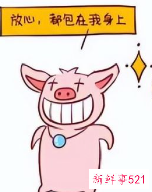 生肖猪的性格特点和脾气