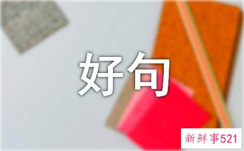 作文参考好句赏析