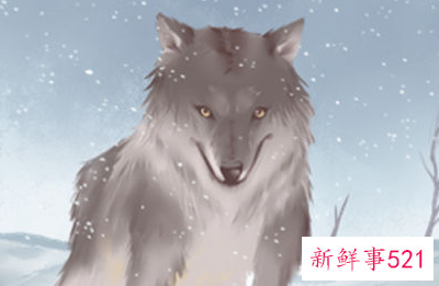 梦见我在躲狼我很害怕