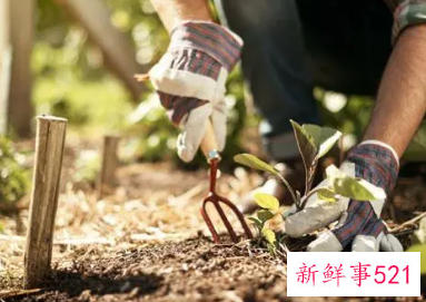 梦见做事是什么意思