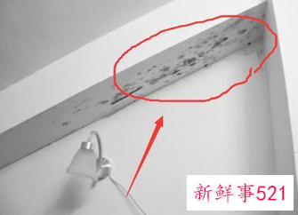 墙体发霉怎样彻底处理