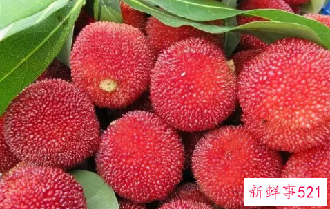 婴幼儿期宝宝能吃杨梅吗