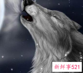 十二星座专属灵兽图片