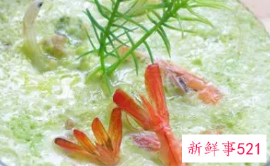 断奶期孩子又该吃什么